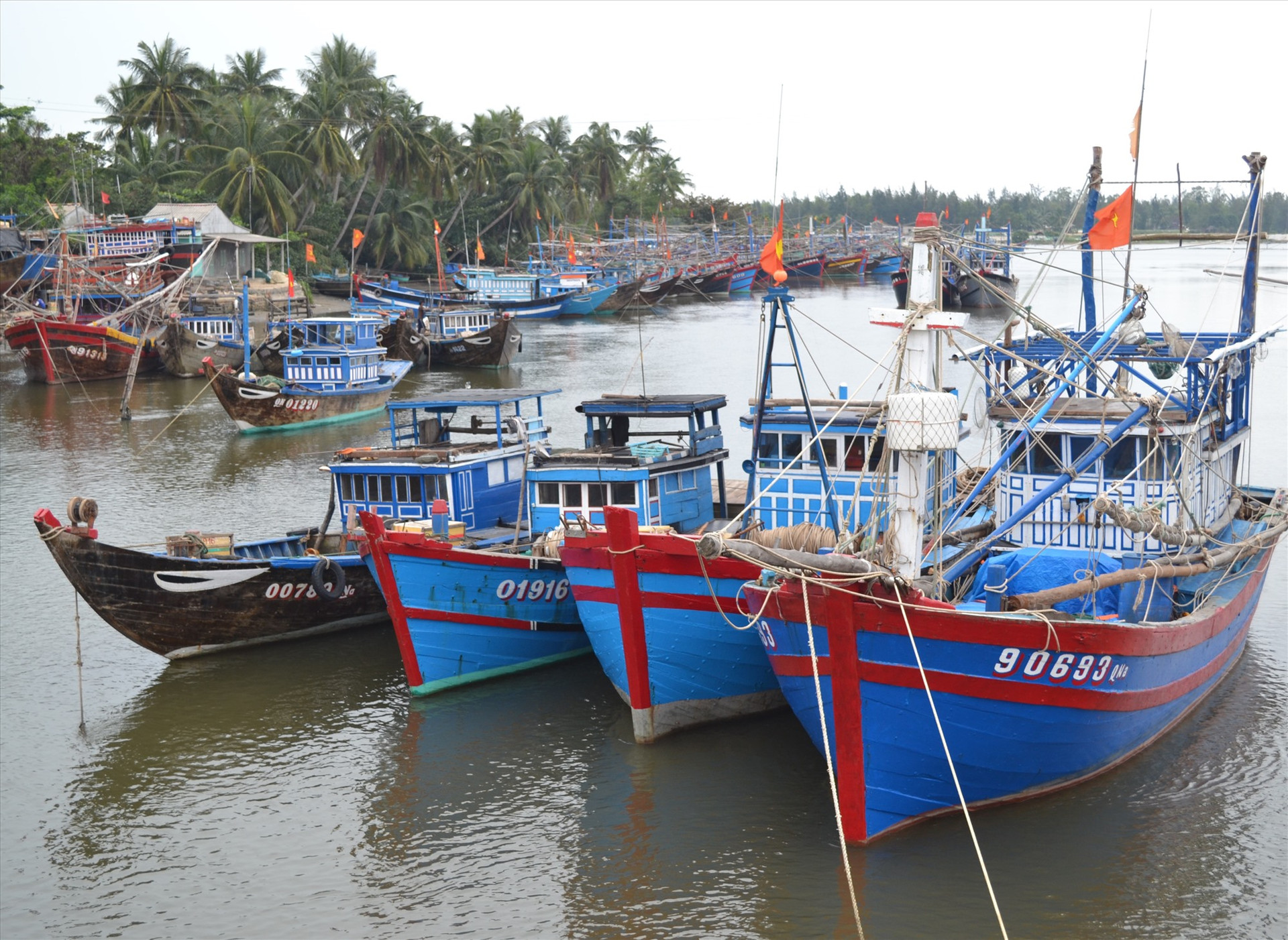 Do âu thuyền thôn Hà Lộc không đảm bảo nên ngư dân Tam Tiến neo đậu tàu cá ở ven sông Trường Giang. Ảnh: VIỆT NGUYỄN