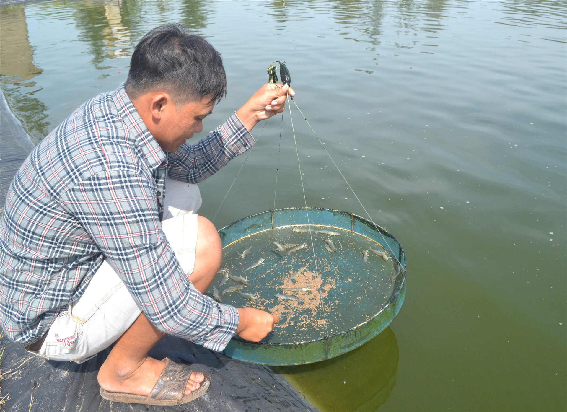Tín dụng chính sách giúp người dân xã Tam Tiến triển khai nhiều nuôi thủy sản đạt đạt hiệu quả. Ảnh: VIỆT QUANG