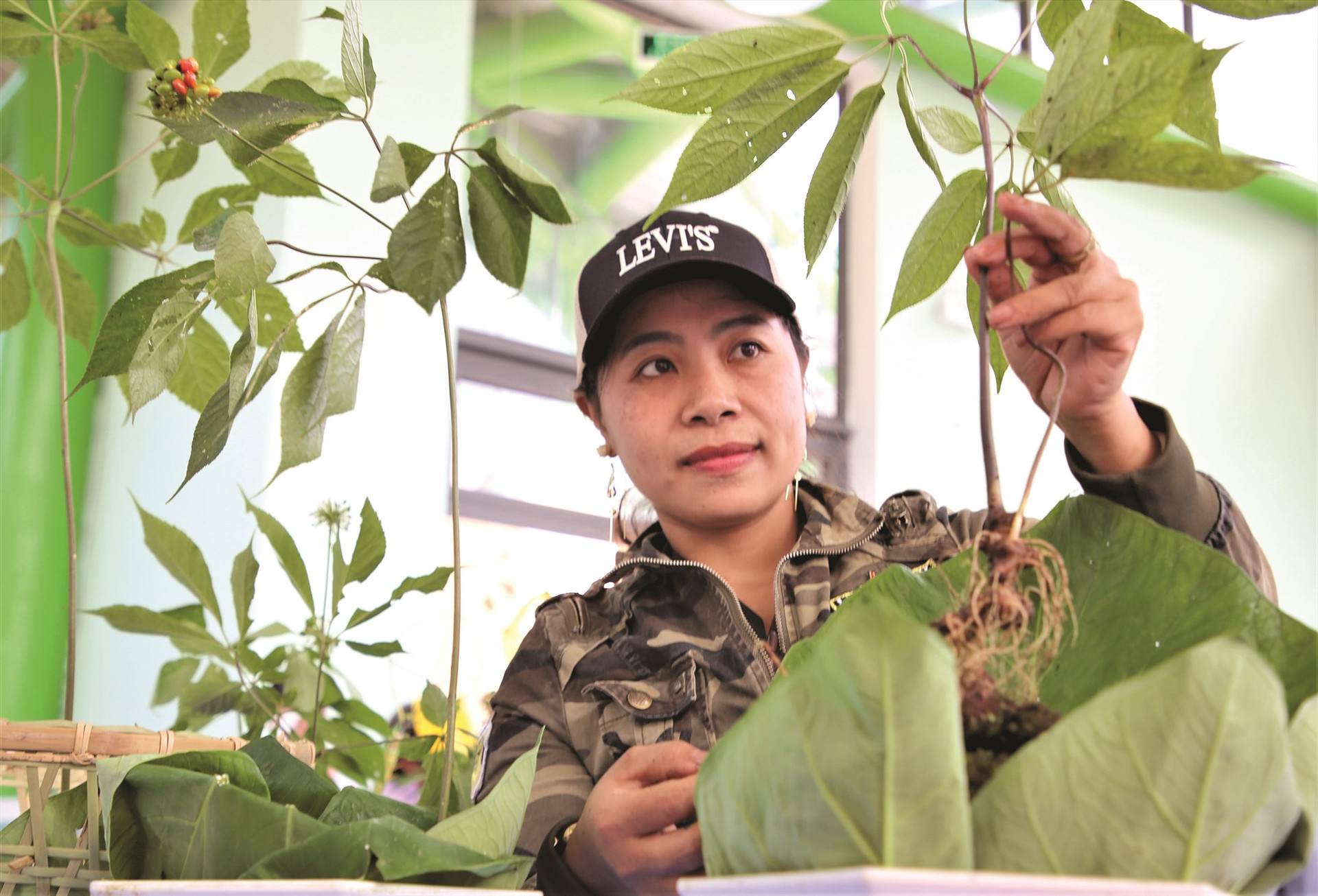 Chị Nguyễn Thị Hồng Thương (một người trồng sâm ở Trà Cang) khoe sâm trước giờ thi. Ảnh: ĐĂNG NGUYÊN