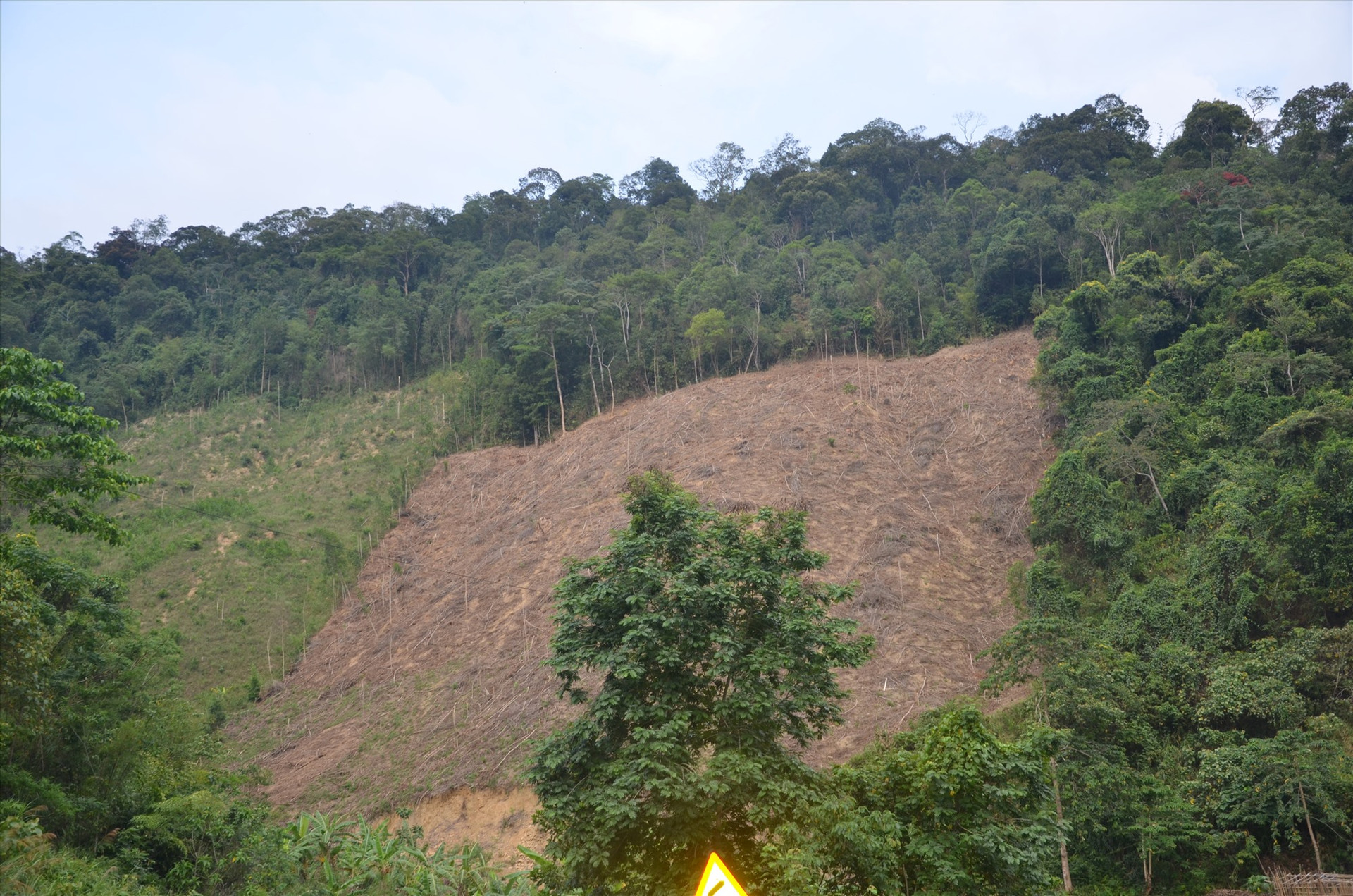Quỹ Bảo vệ - phát triển rừng Quảng Nam luôn cập nhật dữ liệu biến động rừng cho chủ rừng để khuyến cáo, chi trả dịch vụ môi trường rừng đúng diện tích