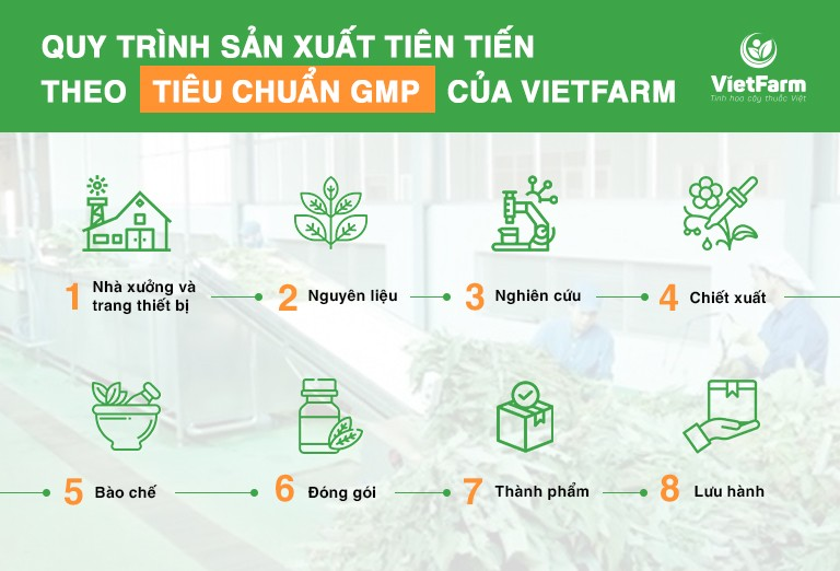 Quy trình sản xuất dược liệu đạt chuẩn của Trung tâm dược liệu Vietfarm.