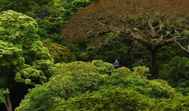 A scene from a French film to be screened at the festival (Source: It's Time To Act - Nature Film Festival in Vietnam)