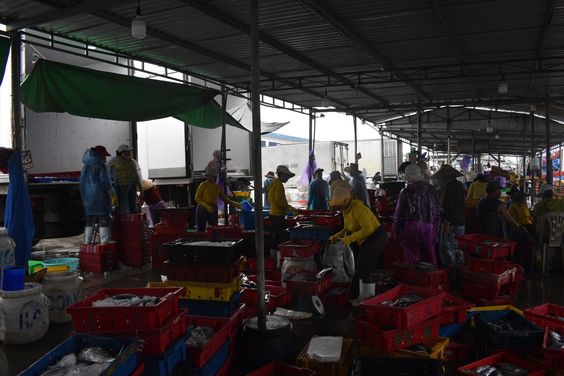 Ngư dân khẩn trương vào cảng cá Tam Quang cân bán cá cho thương lái để sớm tìm nơi tránh bão số 4. Ảnh: N.Q
