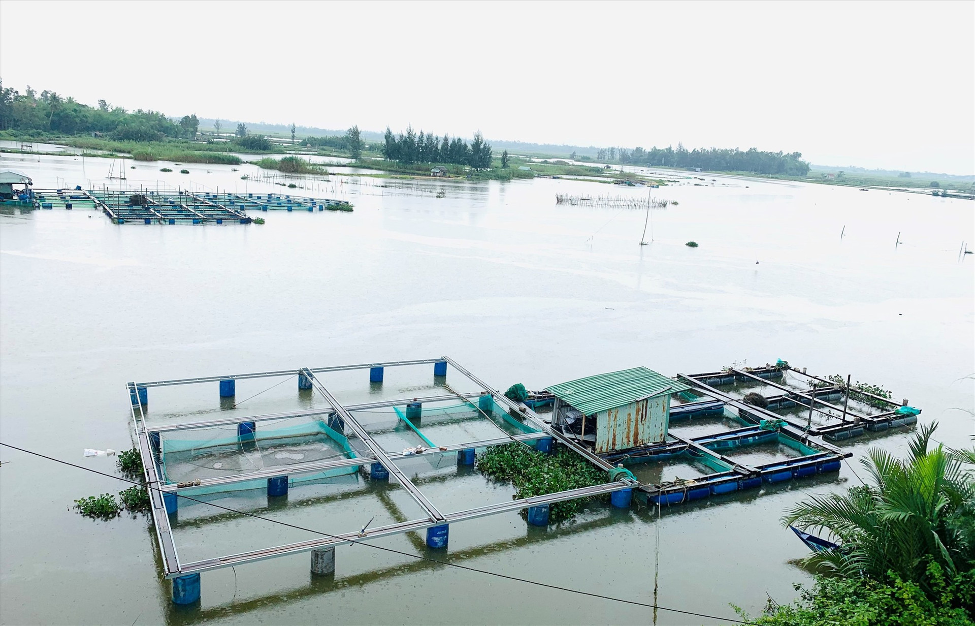 Người dân di chuyển lồng bè nuôi cá trên sông đến dưới chân cầu Trường Giang (xã Duy Nghĩa, Duy Xuyên).  Ảnh: T.N