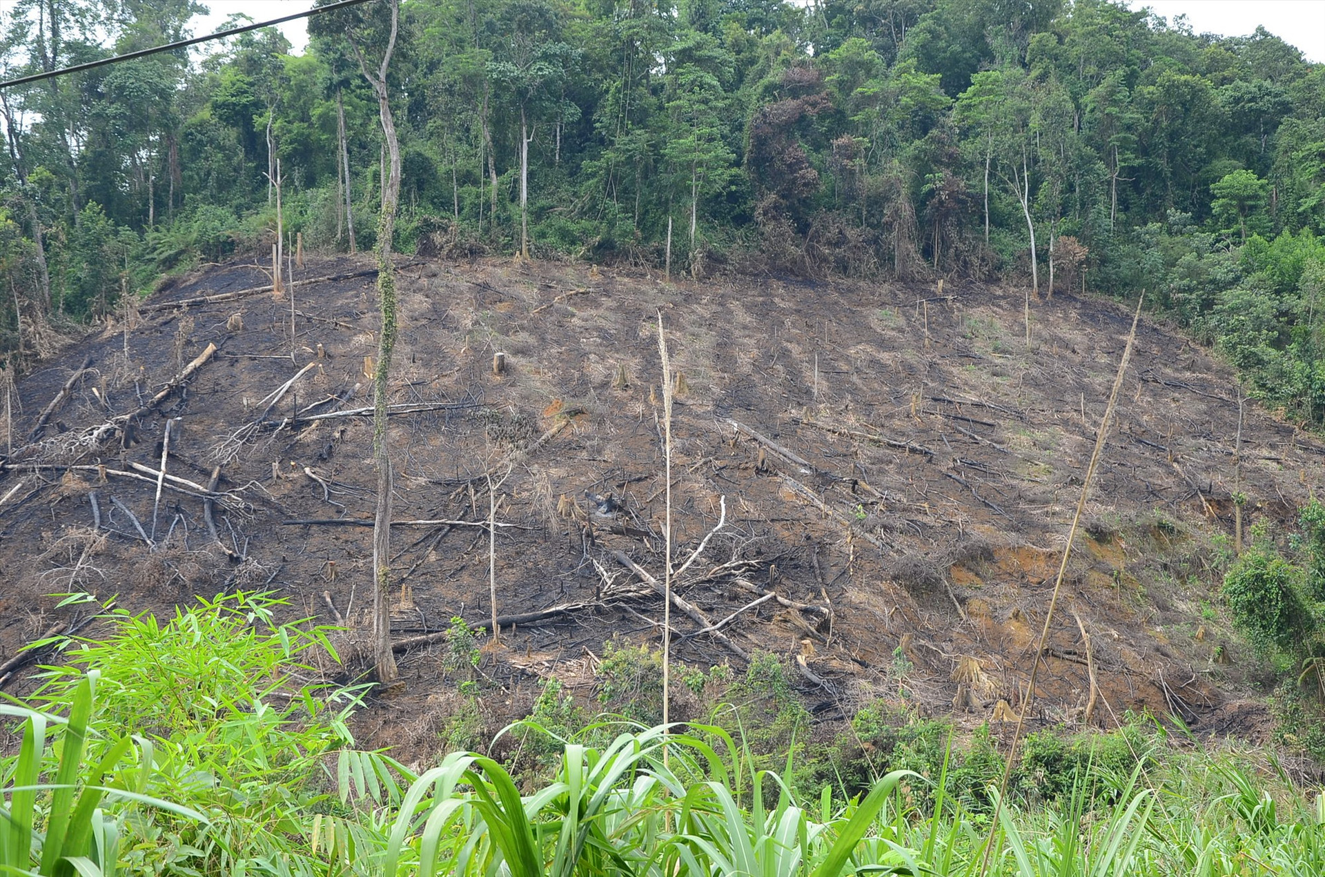 Một số vụ việc liên quan đất rừng vùng giáp ranh giữa 2 huyện Đông Giang và Hòa Vang vẫn đang giải quyết.