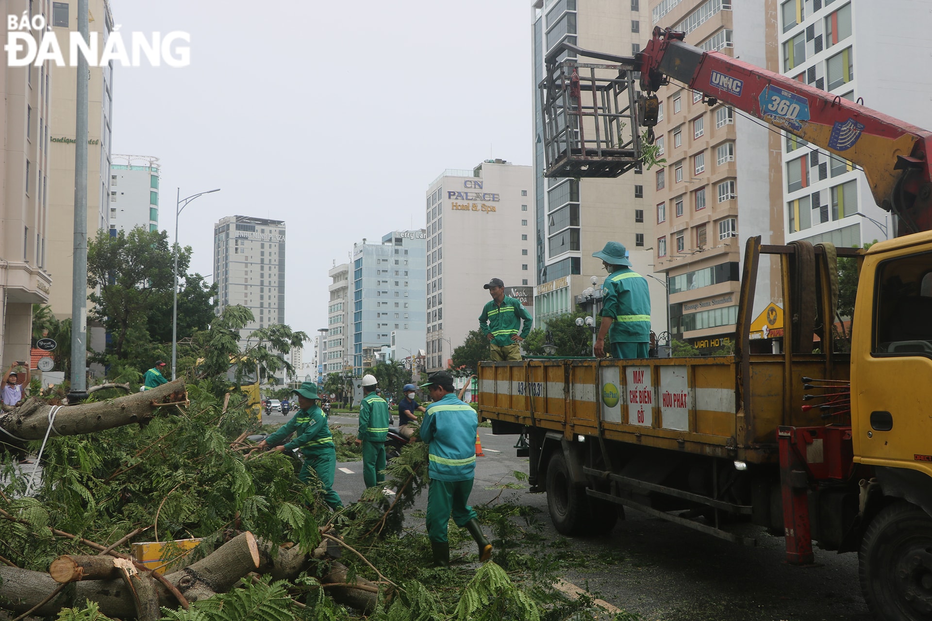 Lực lượng công nhân Công ty Công viên - Cây xanh Đà Nẵng ra quân dọn dẹp cây xanh ngã đổ. Ảnh: VĂN HOÀNG