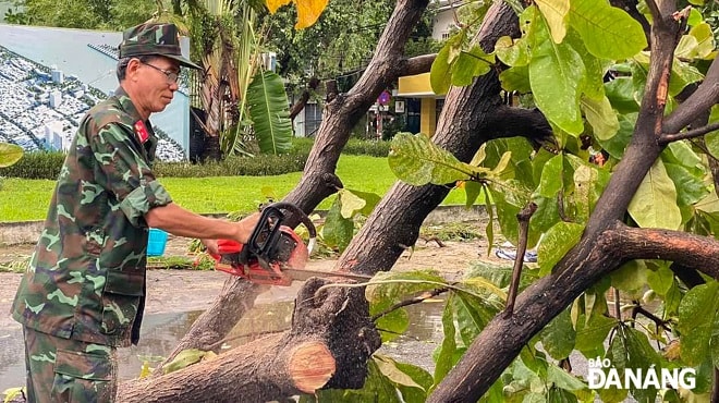 Sáng sớm nay, ngày 28-9, ngay sau khi mưa tạm, gió ngưng. Bộ Chỉ huy quân sự thành phố đã chỉ đạo hơn 200 cán bộ, chiến sĩ ra quân khắc phục hậu quả bão số 4.