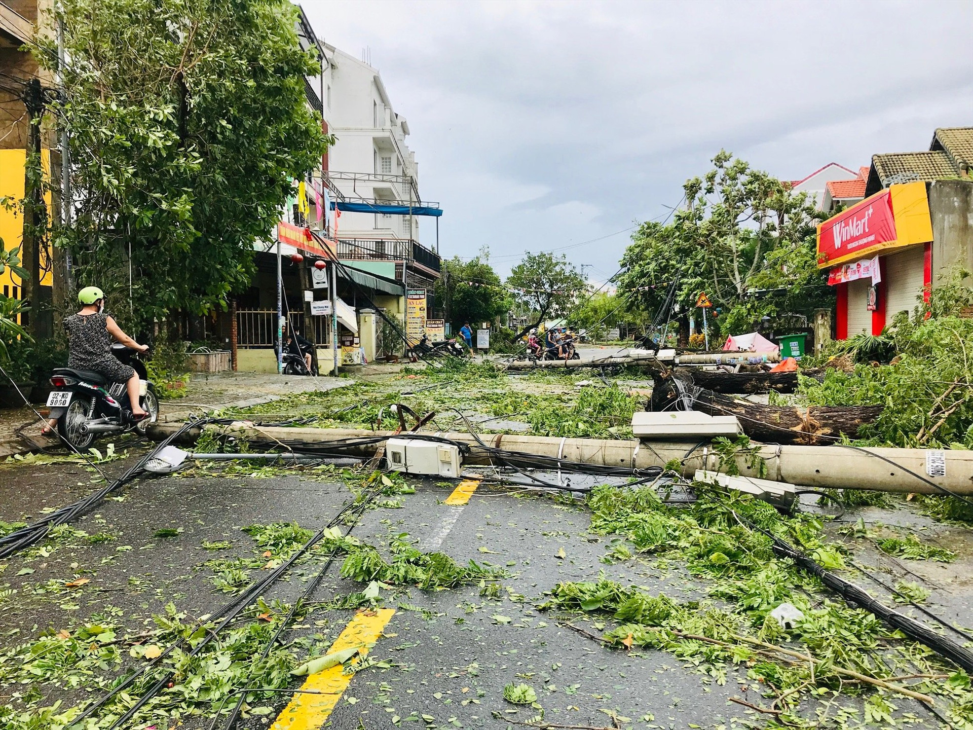 Nhiều cây xanh, cột điện trên tuyến đường Nguyễn Duy Hiệu, phường Cẩm Châu bị ngã đổ gây tắc nghẽn giao thông