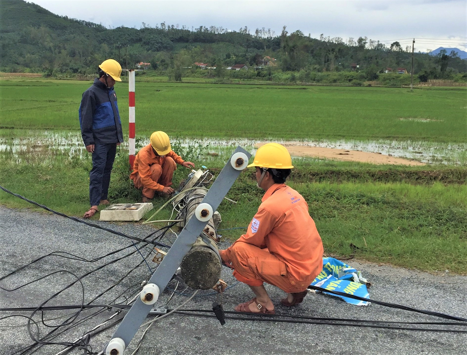 PC Quảng Nam cử lực lượng nhanh chóng kiểm tra, sửa chữa lưới điện bị hư hỏng. Ảnh: VÕ VIỆT, TRUNG HIẾU