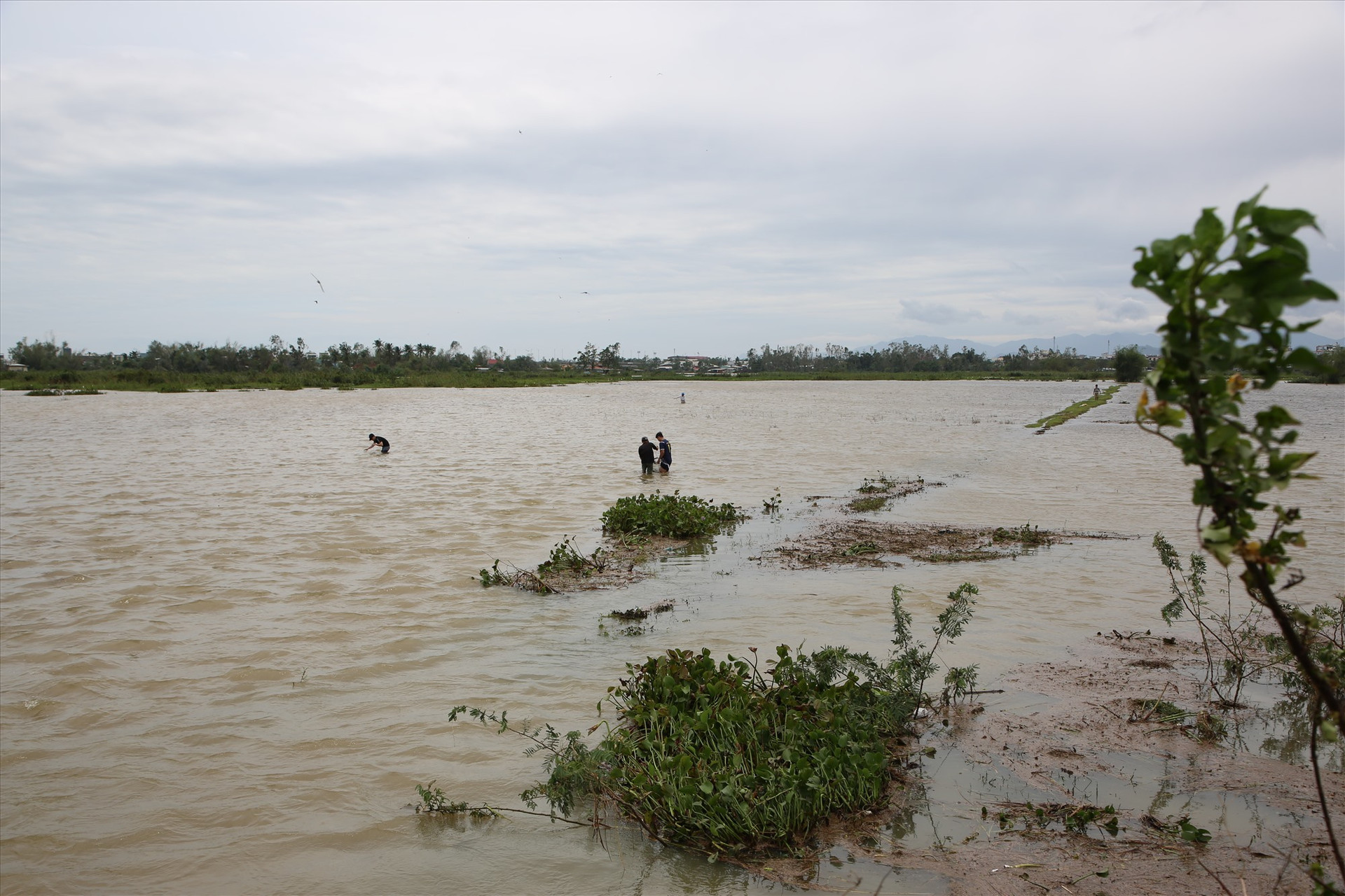 Sau bão, nước sông dâng cao tạo dòng chảy để cá sông kiếm ăn mùa lũ. Ảnh: Đ.N