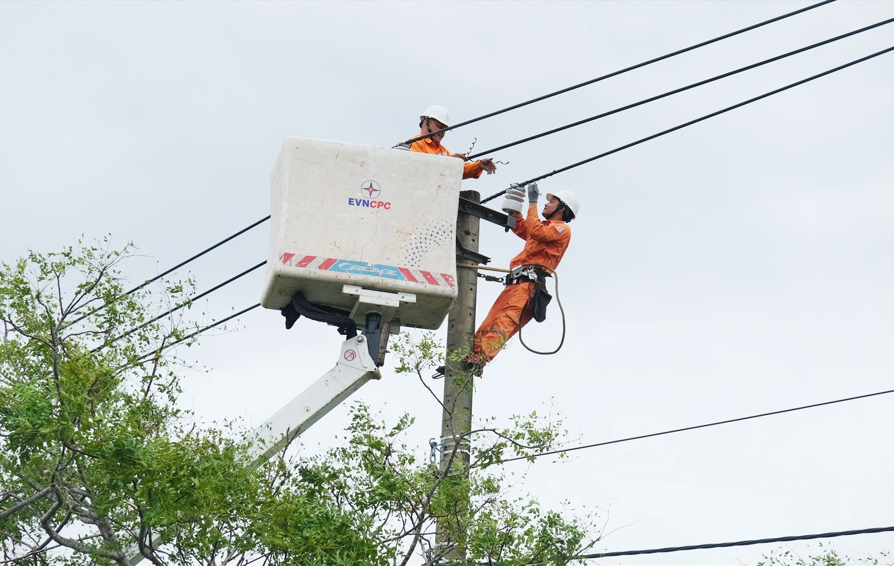 Công ty Điện lực Quảng Nam đang khẩn trương huy động nhân sự, phương tiện để khôi phục lưới điện sớm nhất cho các địa bàn. Ảnh: H.P