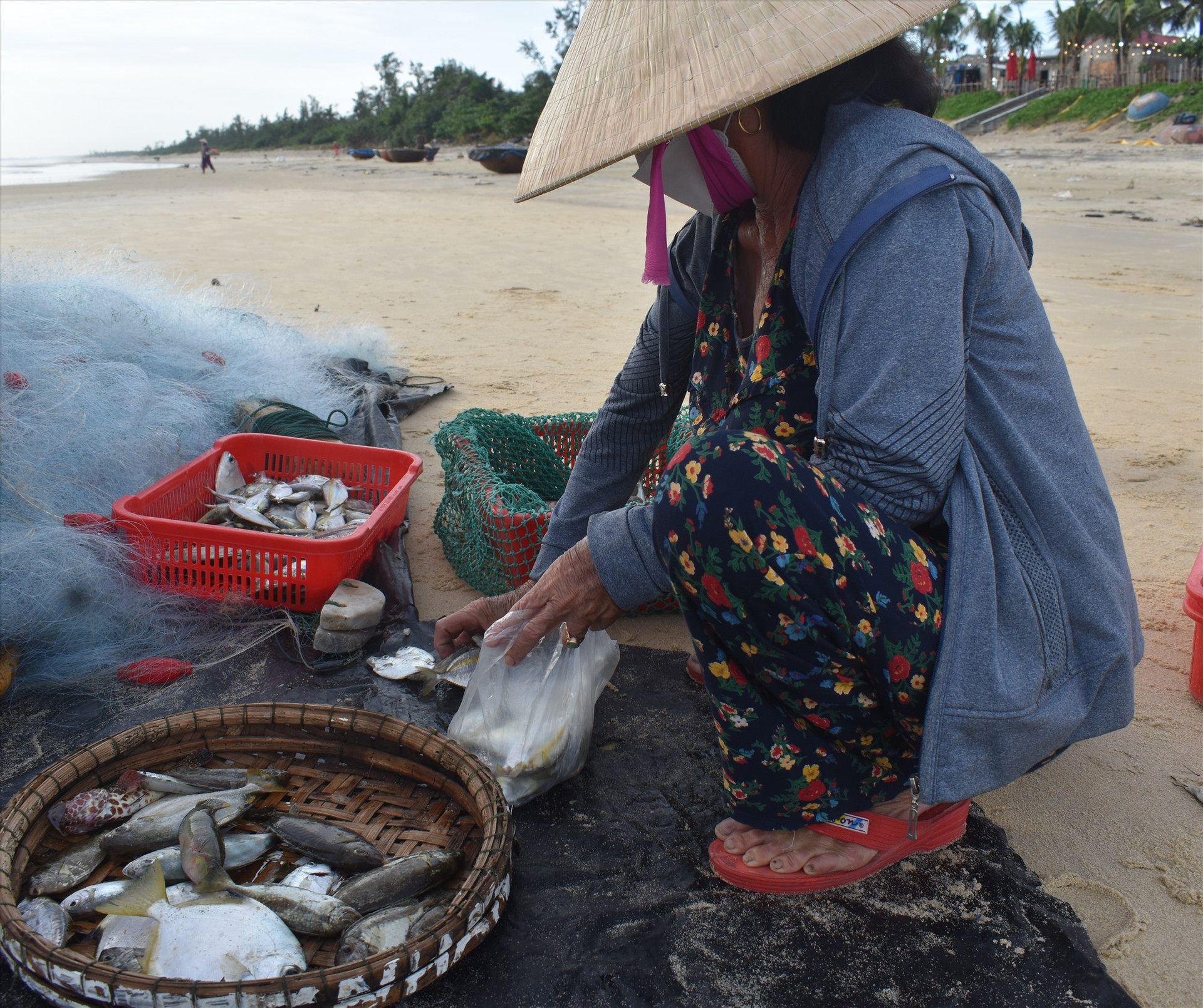 Thương lái thu mua cá ngay tại bờ biển Tam Tiến. Ảnh: N.Q