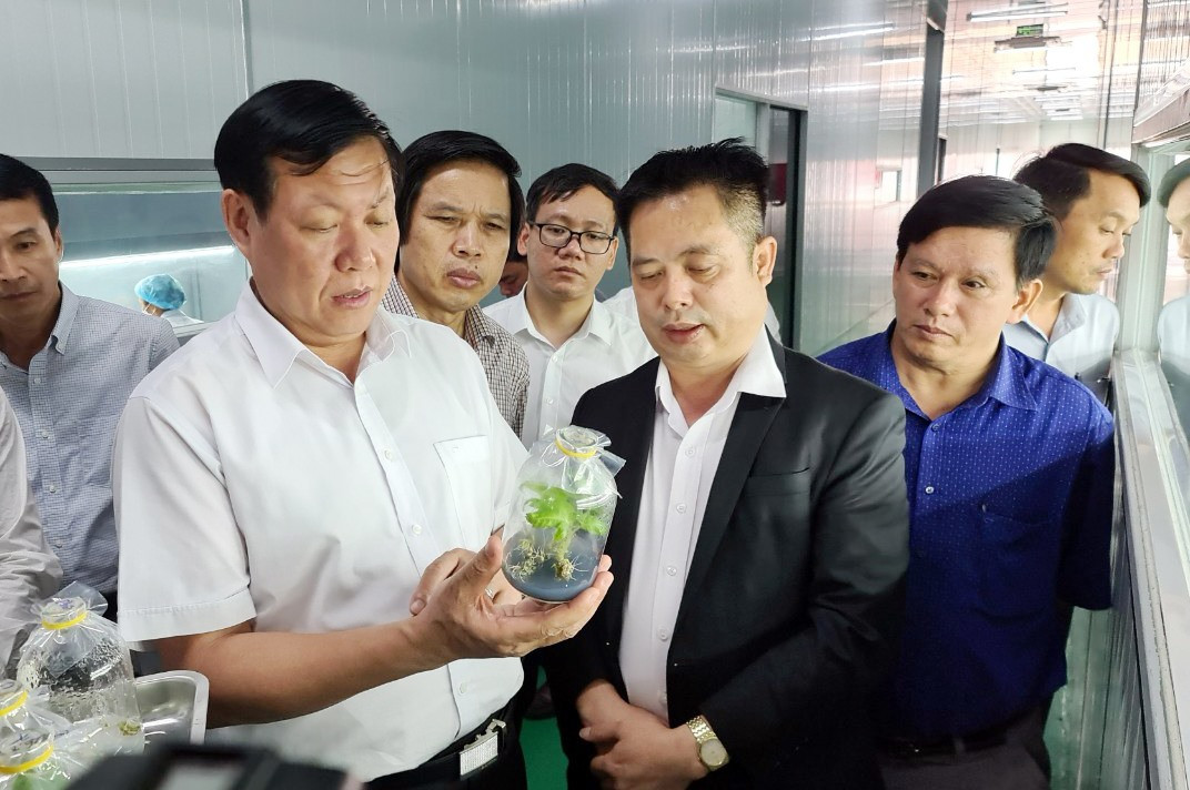 Thứ trưởng Đỗ Xuân Tuyên tham quan khu vực cấy mô, nhân giống sâm Ngọc Linh tại Công ty TNHH Sâm Sâm. Ảnh: X.H
