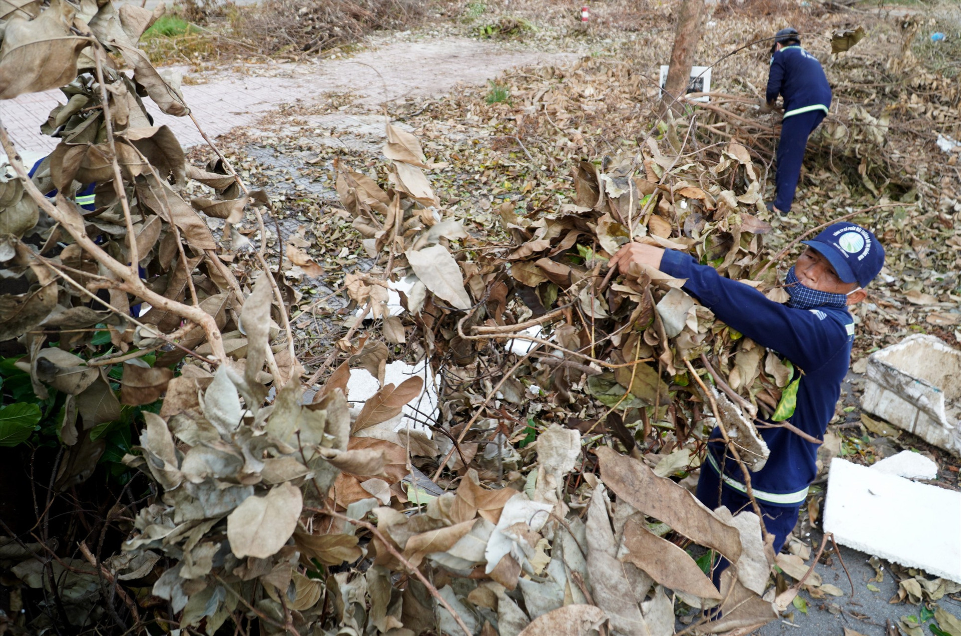 Công nhân vẫn đang nỗ lực làm việc để thu gom lượng lớn lá, cành cây ngã đổ sau bão. Ảnh: Q.L