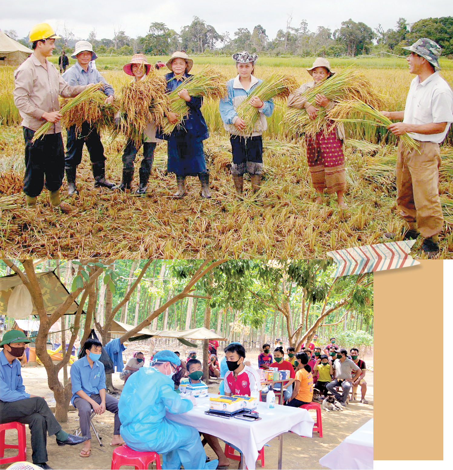 Đoàn Kinh tế - Quốc phòng 206 – Quân khu 5 giúp dân thu hoạch lúa và khám chữa bệnh cho dân bản.