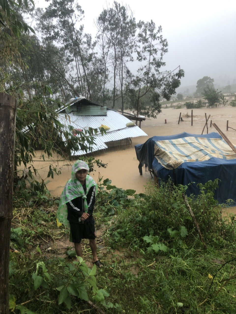 Nhiều nhà dân trên địa bàn xã Trà Kót bị ngập sâu do mưa lớn. Ảnh Trà My