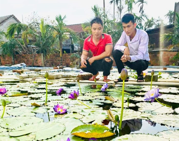 Anh Võ Văn Thạnh (bên trái) cùng anh Nguyễn Văn Thuận - Bí thư Đoàn xã Duy Vinh tại vườn hoa súng. Ảnh: H.H