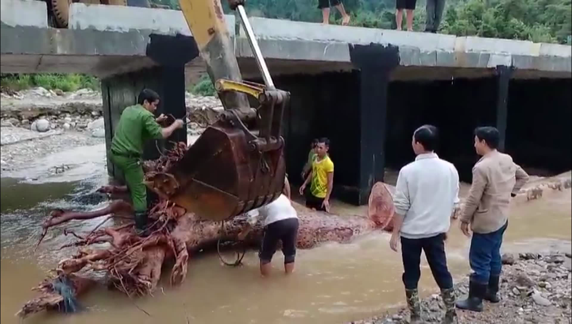 Cắt từng đoạn cây để di dời khỏi hiện trường