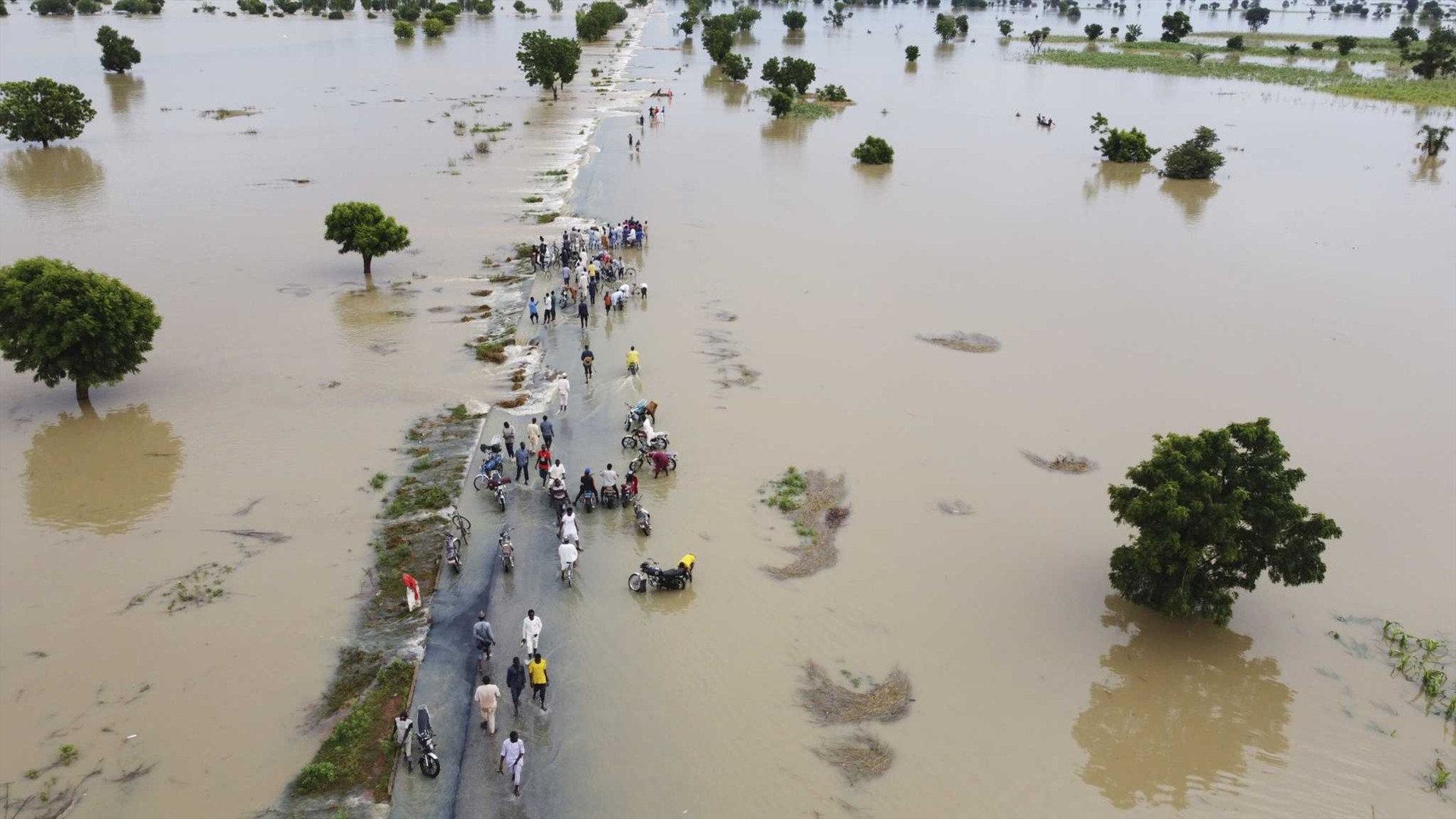 Lũ lụt nhấn chìm nhiều khu vực tại Nigeria. Ảnh: Bukkry