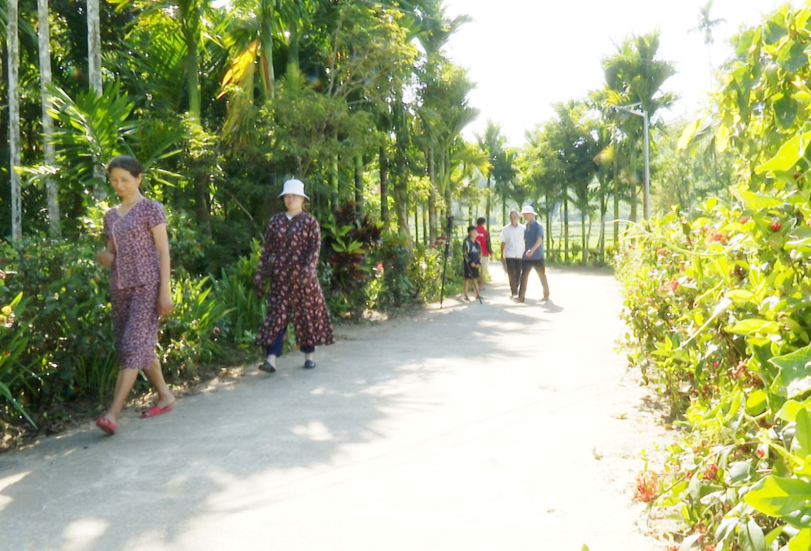 Người dân trong các cụm dân cư NTM kiểu mẫu tích cực tham gia chỉnh trang đường làng, ngõ xóm, xanh, sạch, đẹp. Ảnh:N.H