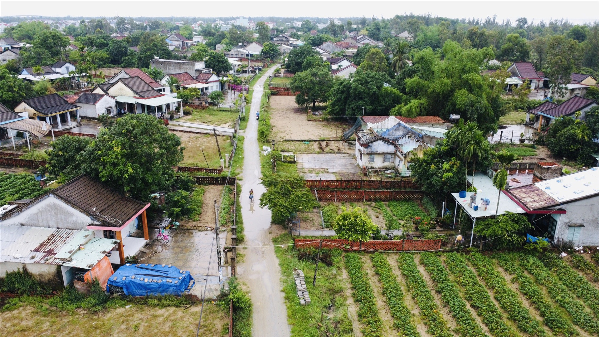 Xã Duy Hải có hơn 100 ngôi nhà nằm trong diện “nguy cơ cao”, có thể đổ sập do mưa bão. Ảnh: C.T