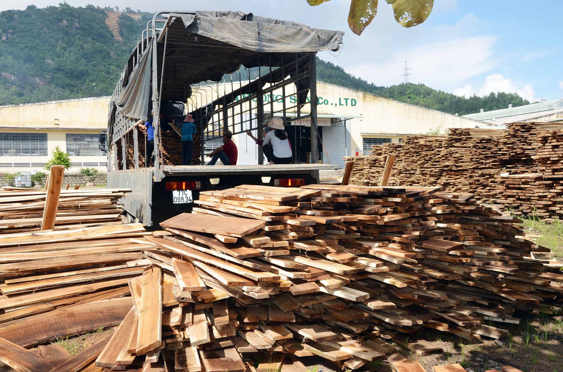 Các doanh nghiệp chế biến gỗ của tỉnh đang thiếu hụt nguồn nguyên liệu đầu vào. Ảnh: HP