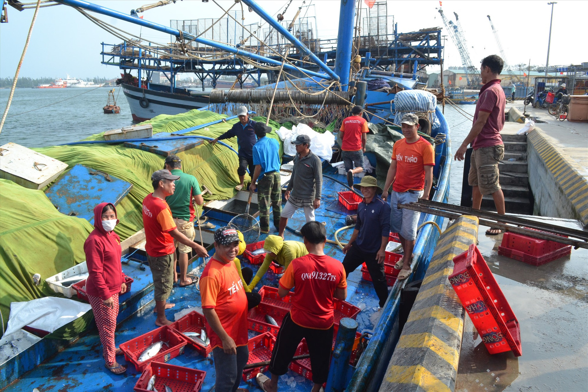 Ngư dân cho tàu cập cảng cá Tam Quang (Núi Thành) để bán hải sản. Ảnh: VIỆT NGUYỄN
