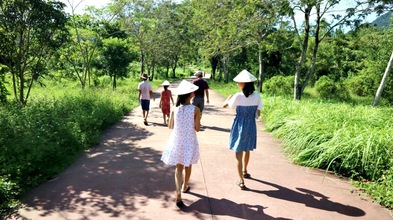 Đường vào Di sản văn hóa Mỹ Sơn rợp bóng cây xanh. Ảnh: PHƯƠNG THẢO