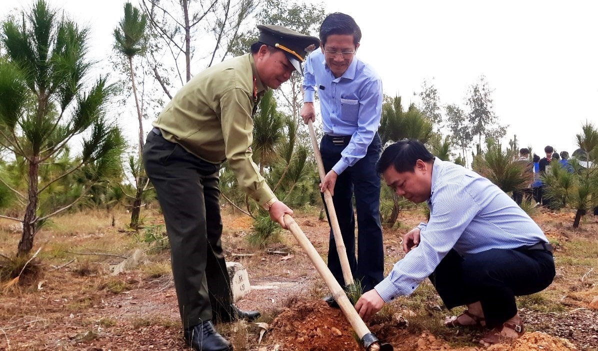 Lãnh đạo TP.Tam Kỳ trồng cây xanh tại núi Yên Ngựa, xã Tam Phú sáng nay 5/11