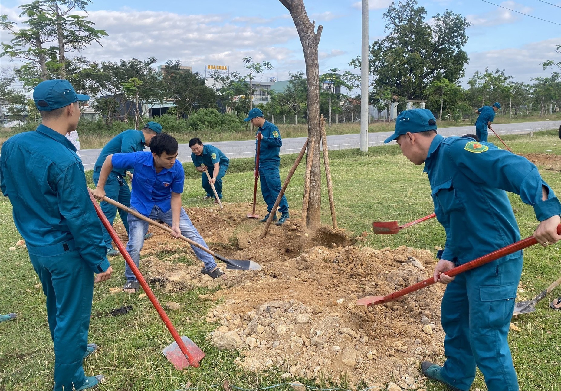 Các tình nguyện viên trồng cây xanh ở vệt cây xanh đường Nguyễn Tất Thành