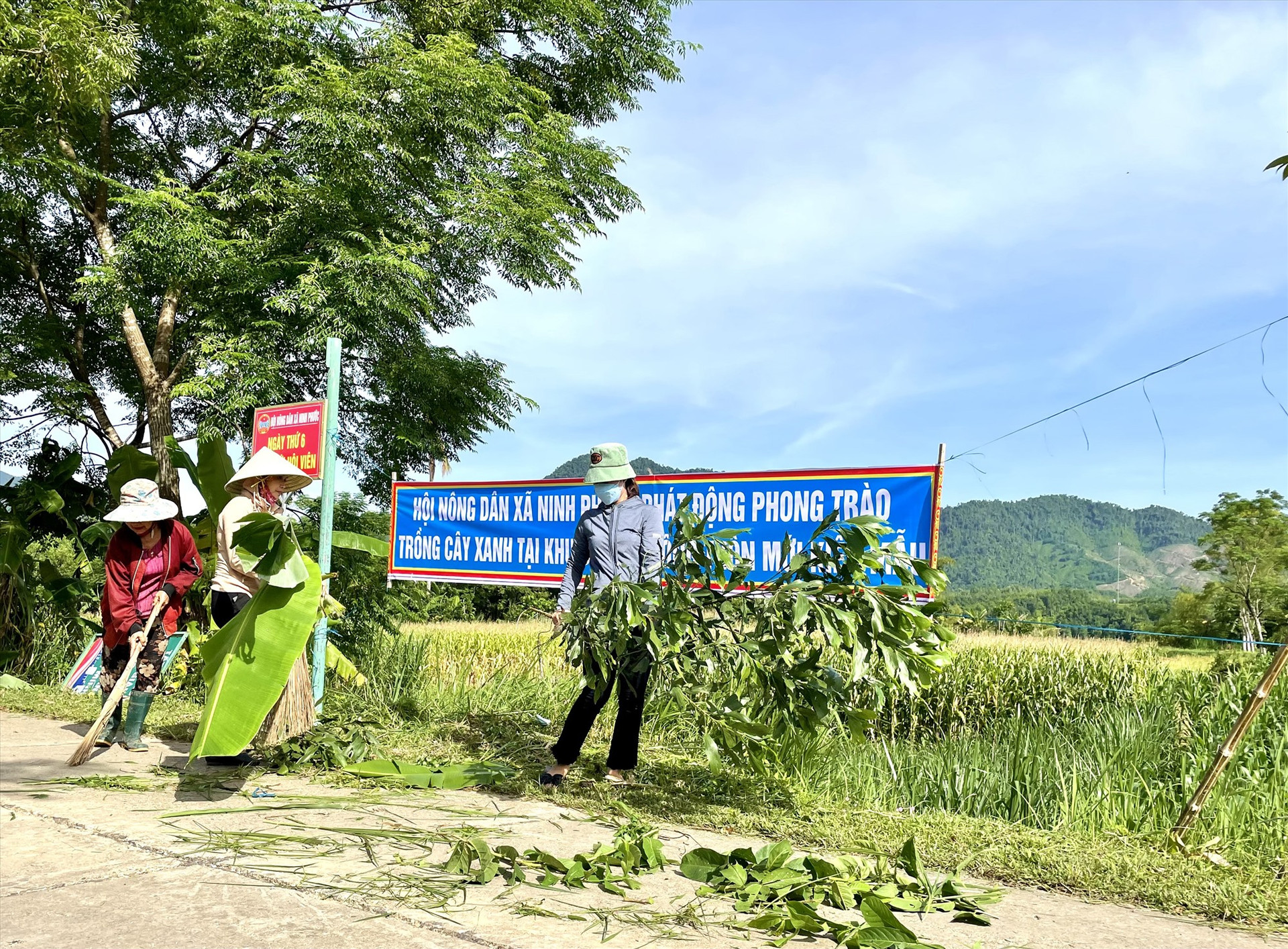 Người dân thôn Phú Gia 1 (xã Ninh Phước, Nông Sơn) chung tay thực hiện các tiêu chí xây dựng khu dân cư nông thôn mới kiểu mẫu. Ảnh: TÂM LÊ