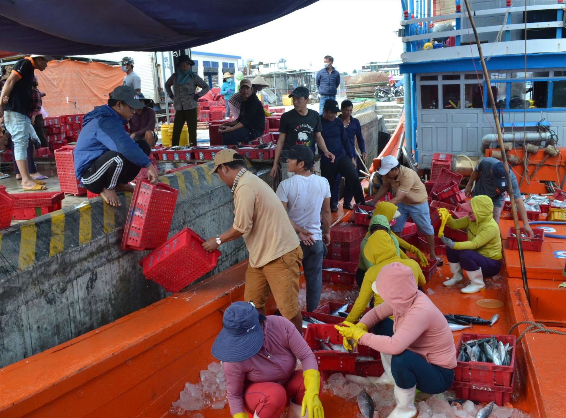 Tàu cá có chiều dài từ 15m trở lên cập cảng cá Tam Quang để bán hải sản. Ảnh: VIỆT NGUYỄN