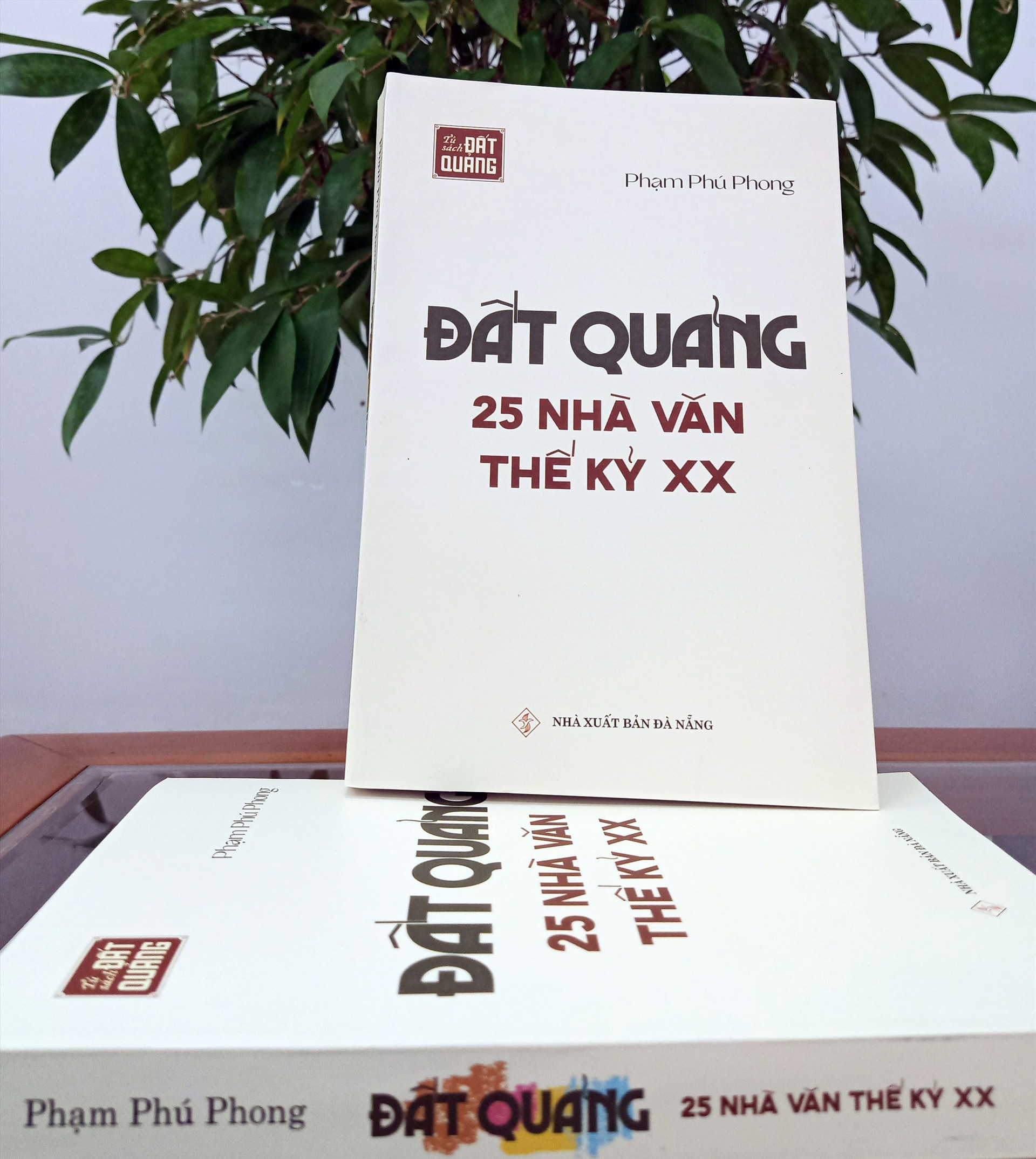 Bìa sách “Đất Quảng - 25 nhà văn thế kỷ XX” trong “Tủ sách Đất Quảng” của NXB Đà Nẵng. Ảnh: A.Q