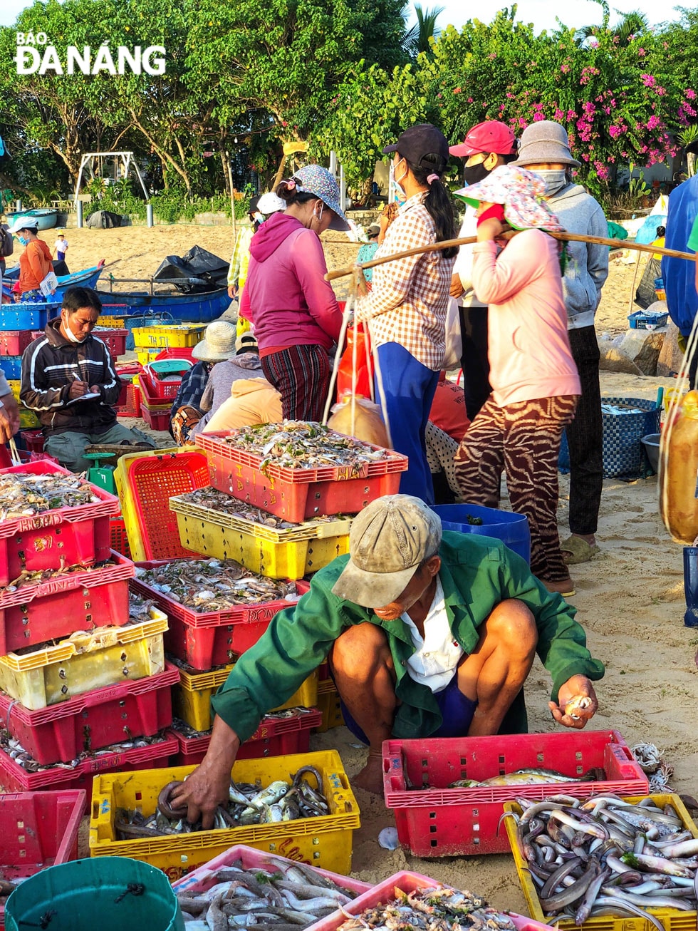 Hoạt động mua - bán tại đây chỉ có dân địa phương hoặc các thương nhân thu mua để phân phối đến các nhà hàng hải sản “mối ruột” nên quy mô không lớn.