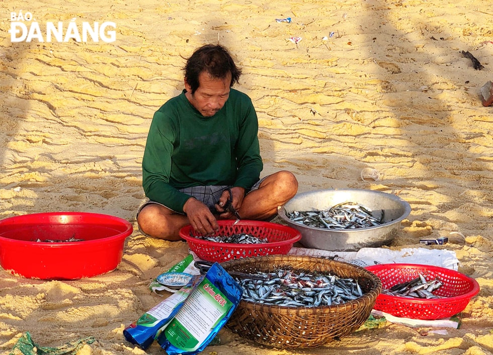 Sau khi thu mua hải sản, từng người thoăn thoắt sơ chế ngay tại biển.