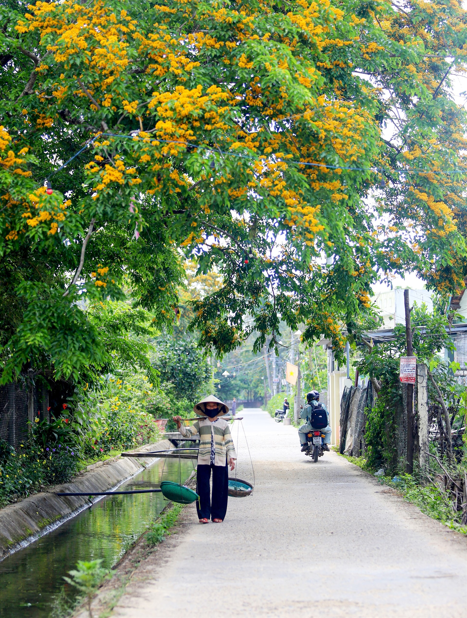 Một con hẻm ở Vườn Cừa (Tam Kỳ)