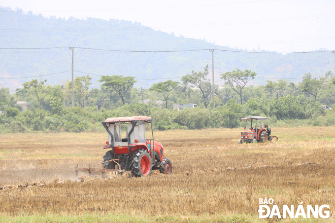 Nông dân thành phố sẵn sàng sản xuất vụ đông xuân 2022-2023. Trong ảnh: Nông dân đang cày đất trên cánh đồng thôn Phong Nam, xã Hòa Châu để chuẩn bị mùa vụ mới. Ảnh: VĂN HOÀNG