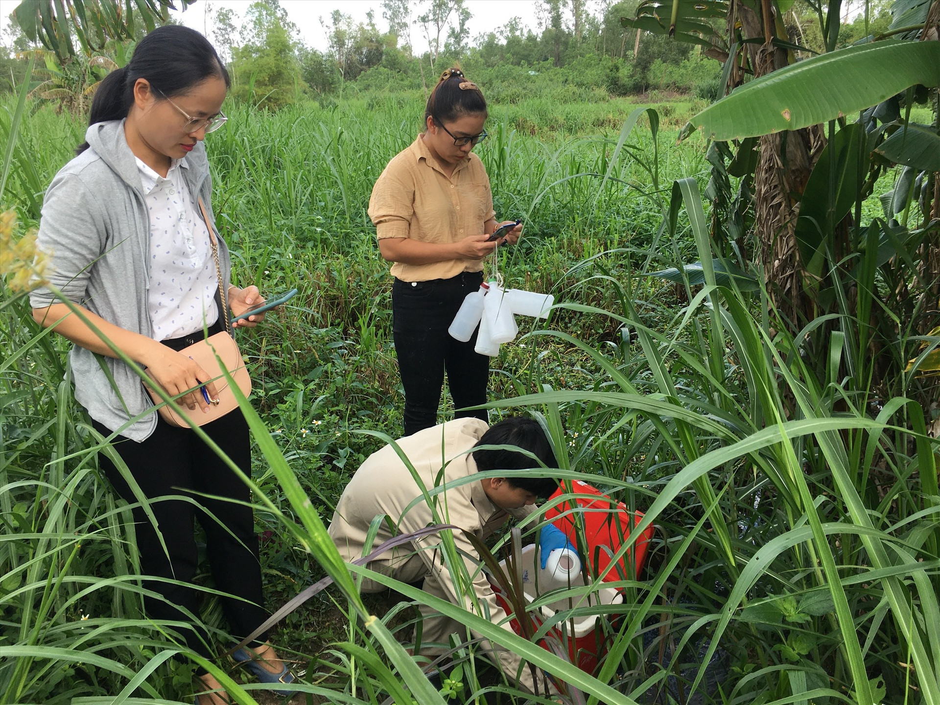 Đoàn kiểm tra lấy mẫu chất thải vật nuôi tại trang trại heo ông Phạm Ngọc Tiến. Ảnh: C.Đ