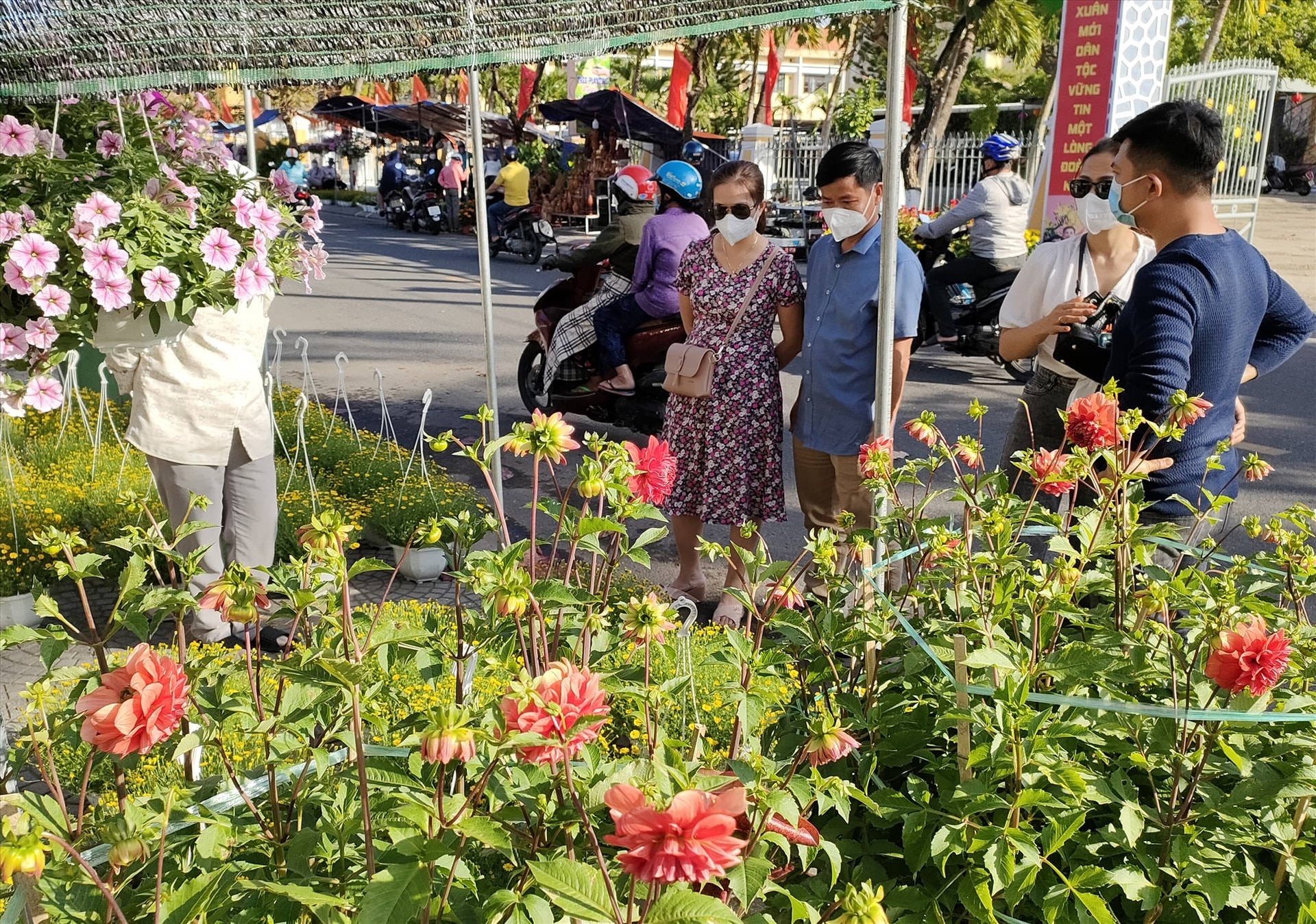 Hội An sẽ thu lệ phí đối với các hộ tham gia đăng ký bán hoa cây cảnh, sinh vật cảnh tại Chợ hoa xuân Quý Mão - 2023. Ảnh: Mỹ Lệ