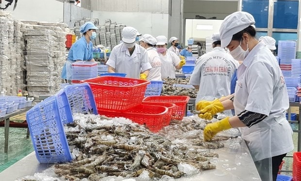 The agro-forestry-fishery export turnover in 2022 posts a new record (Photo: VNA)