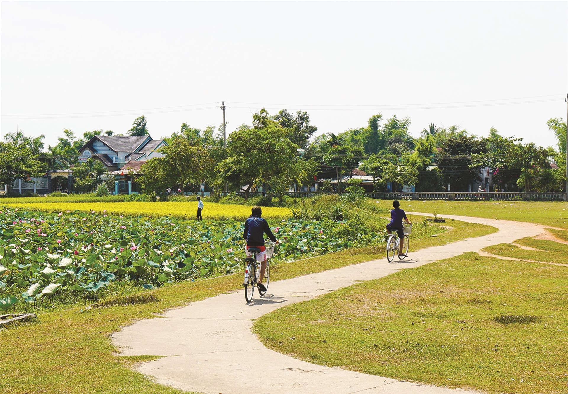 Quê nhà một nỗi nhớ mênh mông. Ảnh: HÀ NGUYỄN