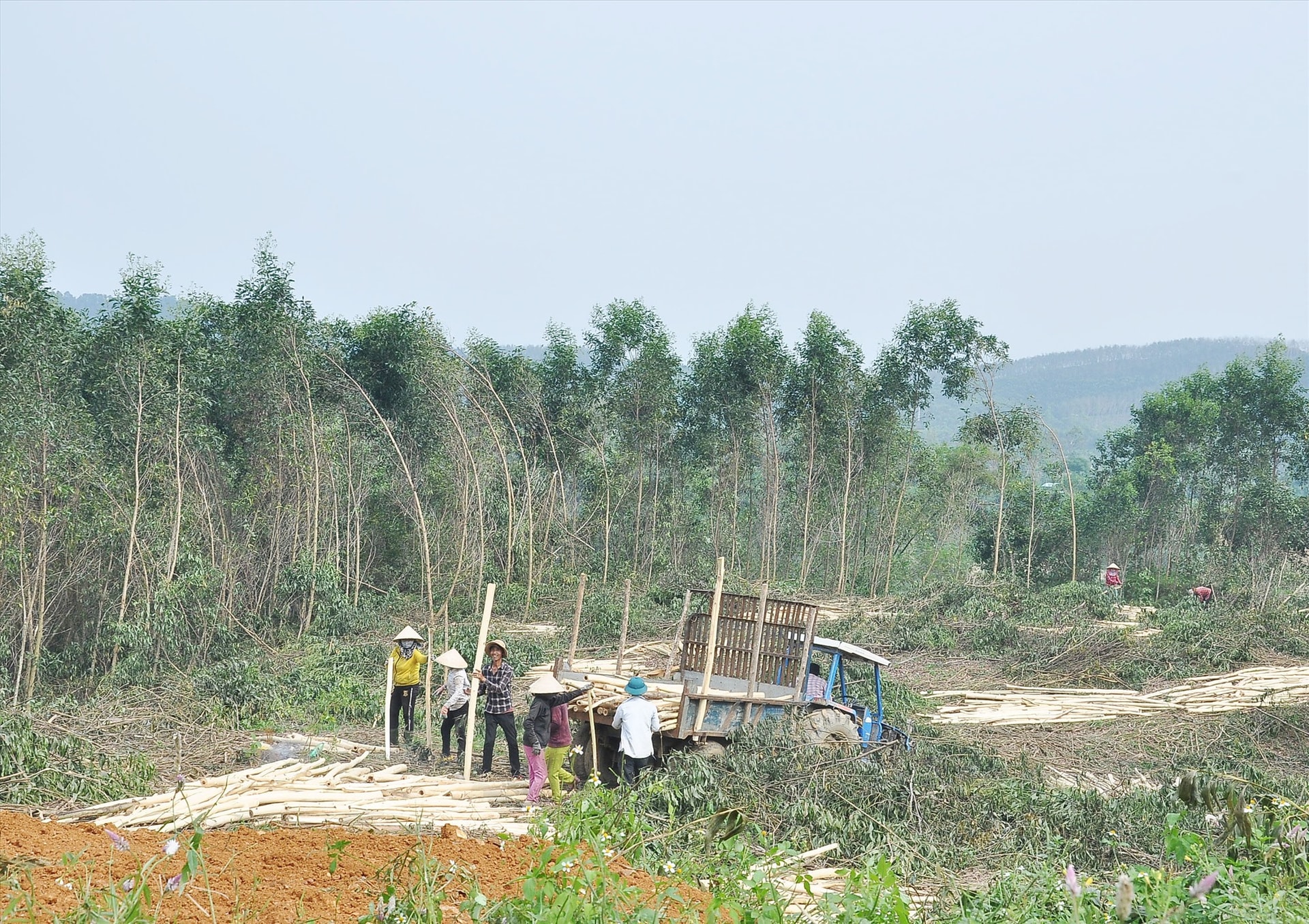 Quy hoạch sử dụng đất góp phần quản lý hiệu quả đất đai, phát triển kinh tế - xã hội. Ảnh: ĐÔNG NHI