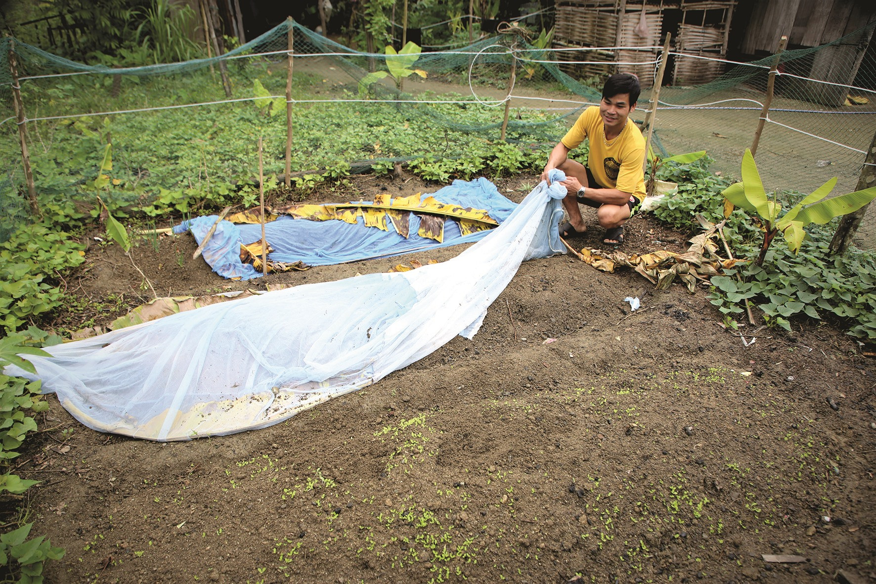 Luống rau vừa được gia đình Kaphu Xới cải tạo từ mảnh đất vườn cạnh nhà.