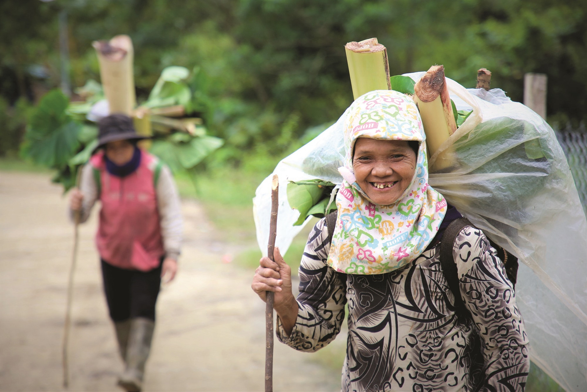 Cuối năm, những phụ nữ vùng cao tranh thủ lên rừng hái rau mang về bán dành tiền sắm tết.
