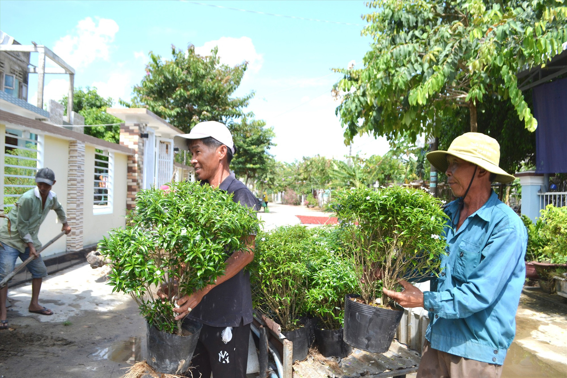 Nông dân thôn Bến Đền (Điện Quang) tích cực tham gia trồng đường hoa trong khu dân cư. Ảnh: CT