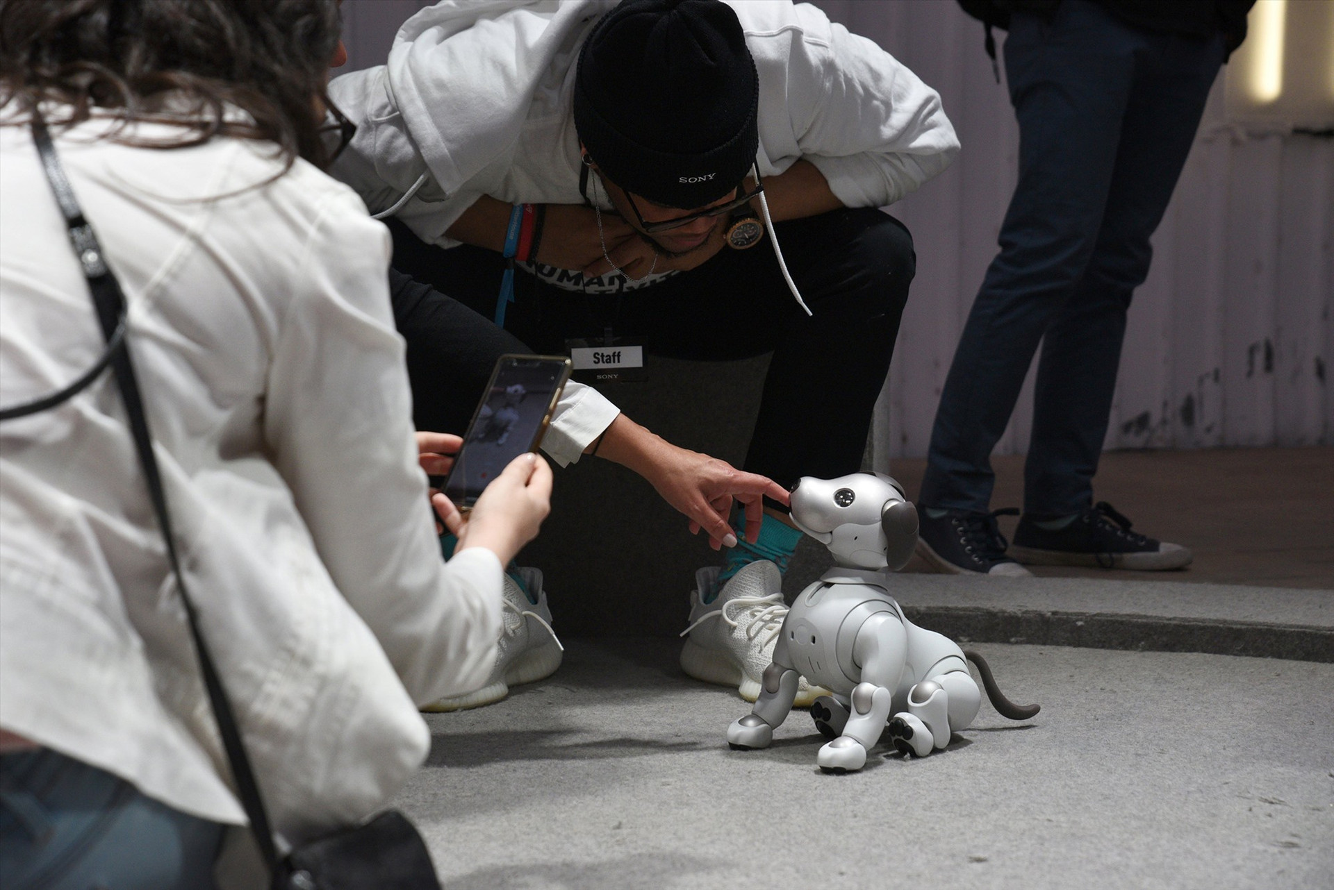 Chú chó robot Aibo do Sony phát triển với camera gắn ở mõm và cảm biến gắn ở chân có giá gần 3.000 USD. Ảnh: Reuters.
