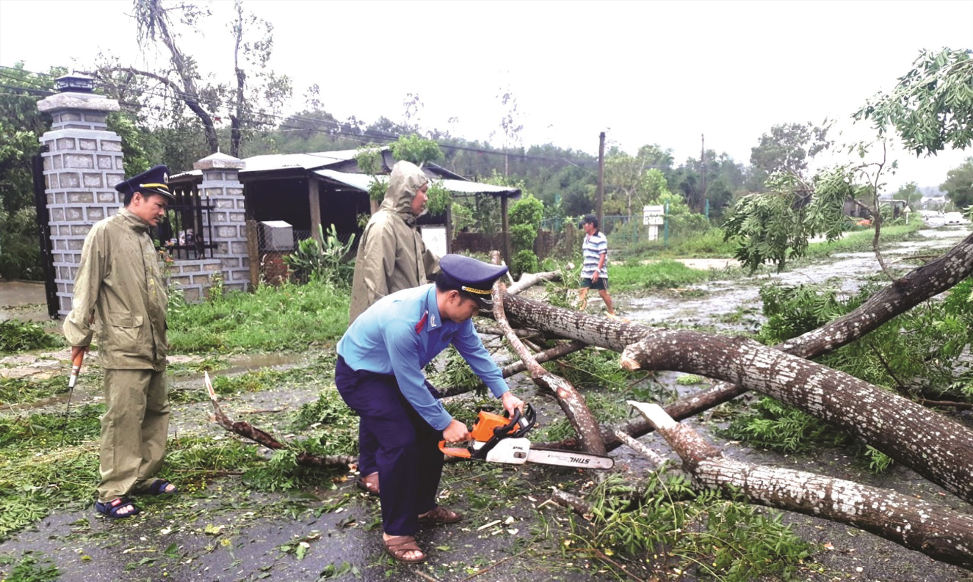 Thanh tra Sở GTVT chủ động cưa dọn cây cối ngã đổ do bão để thông đường.