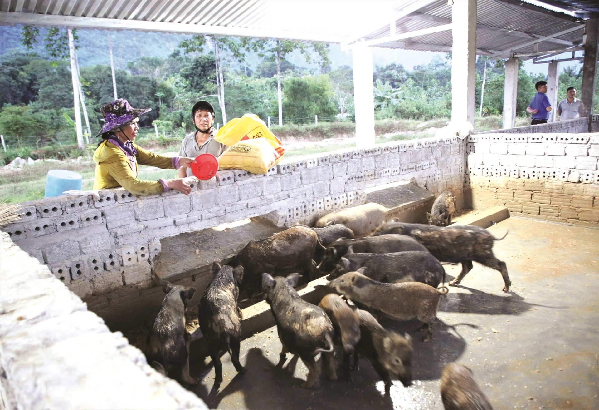 Nhiều mô hình chăn nuôi mang lại kết quả khả quan.