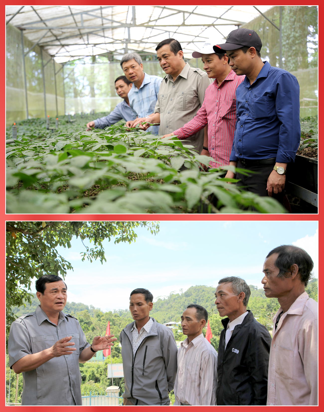 Bí thư Tỉnh ủy Phan Việt Cường thăm vườn ươm giống cây sâm Ngọc Linh, xã Trà Linh (Nam Trà My) và trao đổi với người dân miền núi.