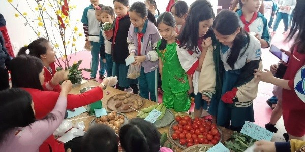 Học trò Trường Tiểu học Võ Thị Sáu (Tam Kỳ) trải nghiệm đi chợ tết. Ảnh: G.V